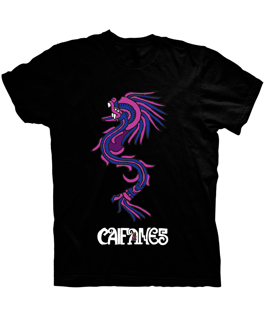 CAIFANES PLAYERA DIOSES OCULTOS